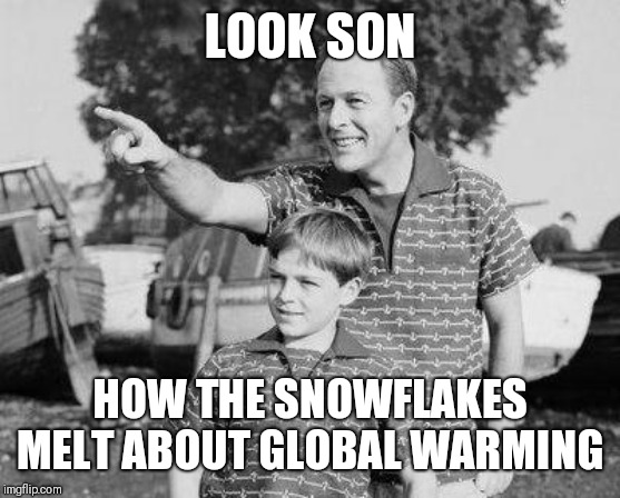 Look Son | LOOK SON; HOW THE SNOWFLAKES MELT ABOUT GLOBAL WARMING | image tagged in memes,look son | made w/ Imgflip meme maker