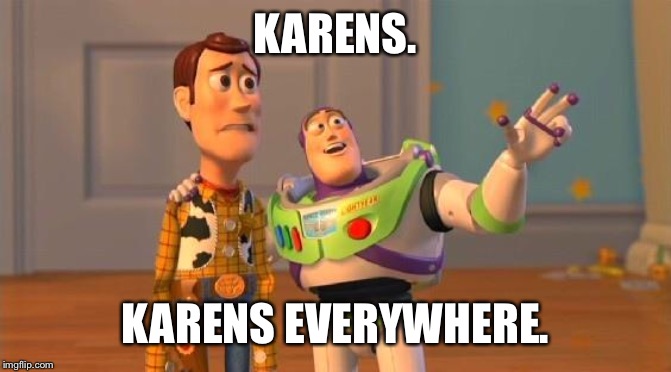 TOYSTORY EVERYWHERE |  KARENS. KARENS EVERYWHERE. | image tagged in toystory everywhere | made w/ Imgflip meme maker