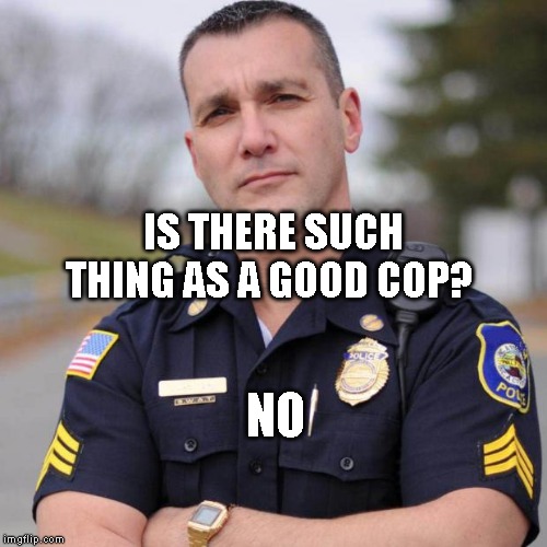 Cop | IS THERE SUCH THING AS A GOOD COP? NO | image tagged in cop | made w/ Imgflip meme maker