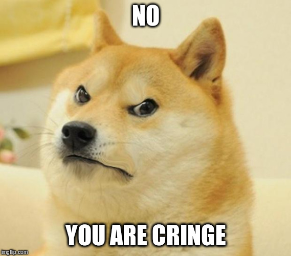 Mad doge | NO YOU ARE CRINGE | image tagged in mad doge | made w/ Imgflip meme maker