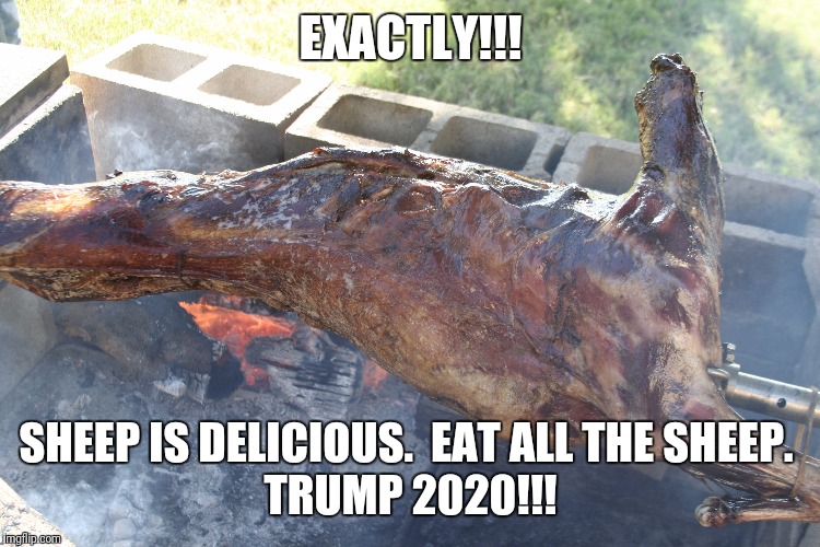 EXACTLY!!! SHEEP IS DELICIOUS.  EAT ALL THE SHEEP. 
TRUMP 2020!!! | made w/ Imgflip meme maker