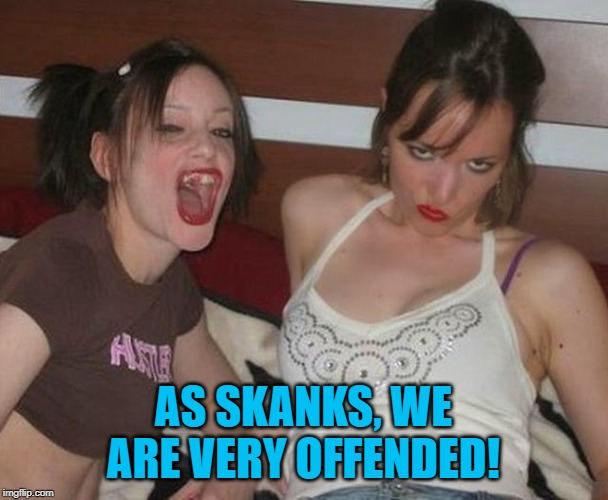 Skanky hustler girls missing teeth | AS SKANKS, WE ARE VERY OFFENDED! | image tagged in skanky hustler girls missing teeth | made w/ Imgflip meme maker