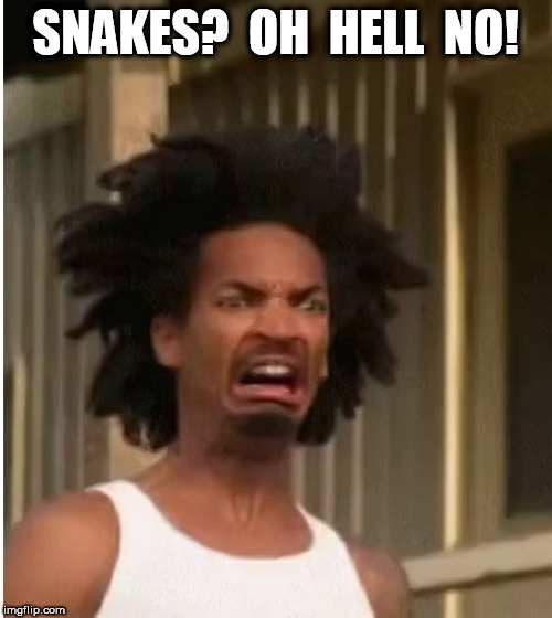 SNAKES?  OH  HELL  NO! | made w/ Imgflip meme maker