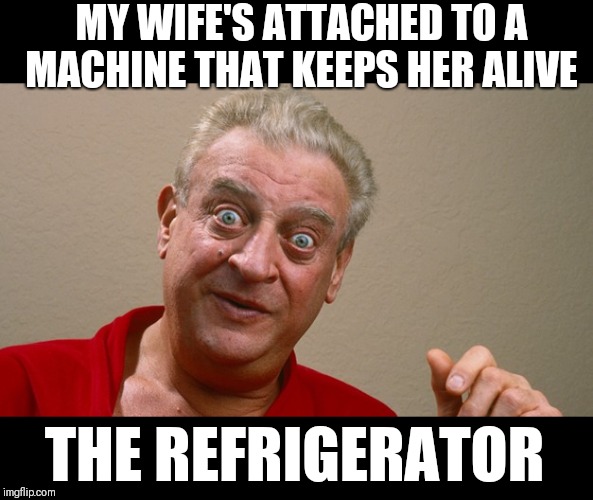Rodney Dangerfield | MY WIFE'S ATTACHED TO A MACHINE THAT KEEPS HER ALIVE; THE REFRIGERATOR | image tagged in rodney dangerfield,memes | made w/ Imgflip meme maker