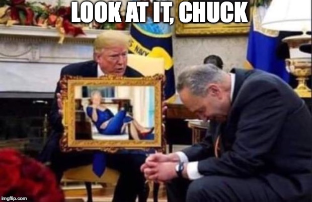 One Picture.... | LOOK AT IT, CHUCK | image tagged in donald trump,chuck schumer,bill clinton,crossdresser | made w/ Imgflip meme maker