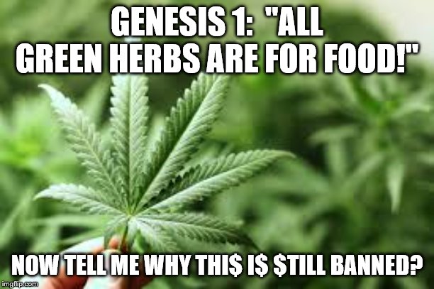 marijuana | GENESIS 1:  "ALL GREEN HERBS ARE FOR FOOD!"; NOW TELL ME WHY THI$ I$ $TILL BANNED? | image tagged in marijuana | made w/ Imgflip meme maker