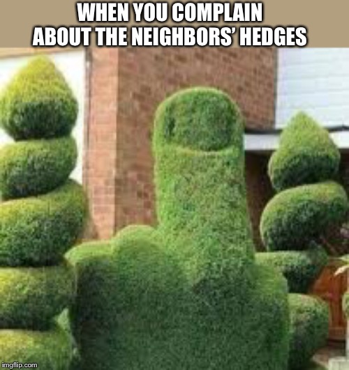 WHEN YOU COMPLAIN ABOUT THE NEIGHBORS’ HEDGES | made w/ Imgflip meme maker