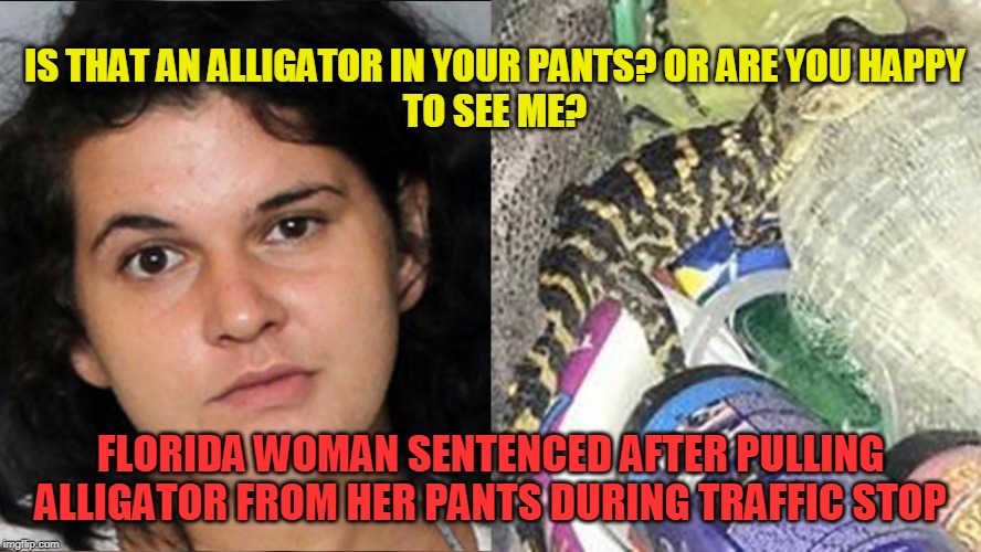 She looks stable, right? | IS THAT AN ALLIGATOR IN YOUR PANTS? OR ARE YOU HAPPY TO SEE ME? FLORIDA WOMAN SENTENCED AFTER PULLING ALLIGATOR FROM HER PANTS DURING TRAFFIC STOP | image tagged in crazy lady,florida,alligator | made w/ Imgflip meme maker