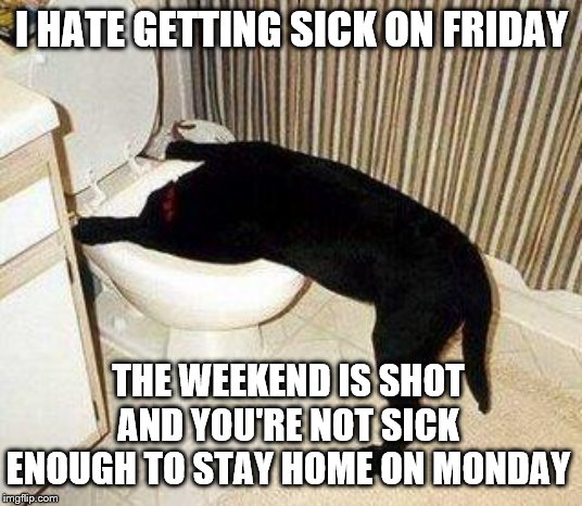 Sick Puppy | I HATE GETTING SICK ON FRIDAY THE WEEKEND IS SHOT AND YOU'RE NOT SICK ENOUGH TO STAY HOME ON MONDAY | image tagged in sick puppy | made w/ Imgflip meme maker