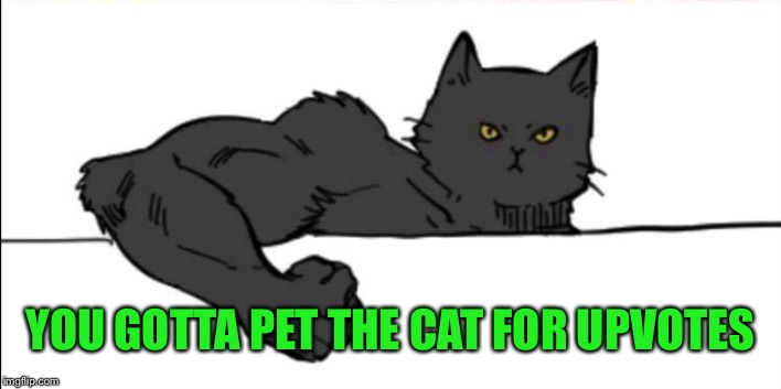 Buff cat | YOU GOTTA PET THE CAT FOR UPVOTES | image tagged in buff cat | made w/ Imgflip meme maker
