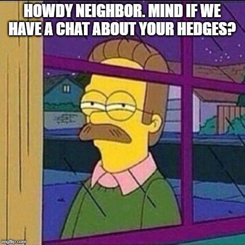 stalker | HOWDY NEIGHBOR. MIND IF WE HAVE A CHAT ABOUT YOUR HEDGES? | image tagged in stalker | made w/ Imgflip meme maker