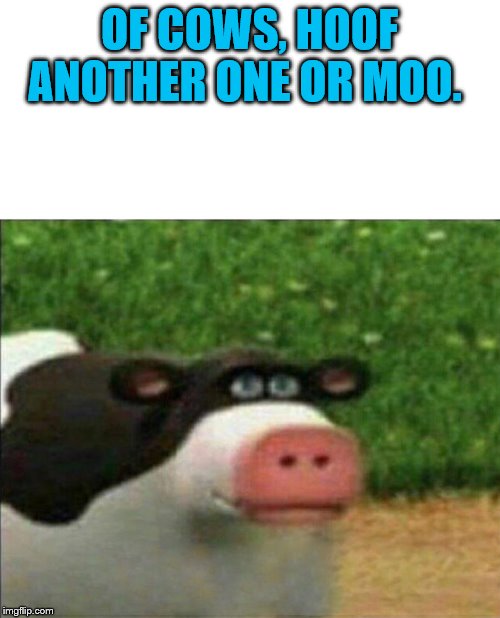 Perhaps cow | OF COWS, HOOF ANOTHER ONE OR MOO. | image tagged in perhaps cow | made w/ Imgflip meme maker