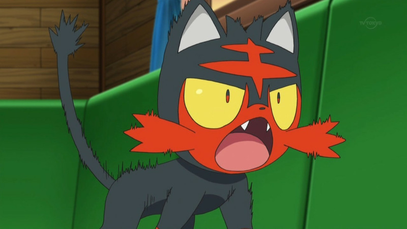 High Quality Surprised Litten Blank Meme Template