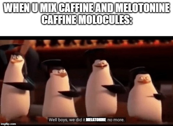 Well boys, we did it (blank) is no more | WHEN U MIX CAFFINE AND MELOTONINE
CAFFINE MOLOCULES:; MELATONINE | image tagged in well boys we did it blank is no more | made w/ Imgflip meme maker