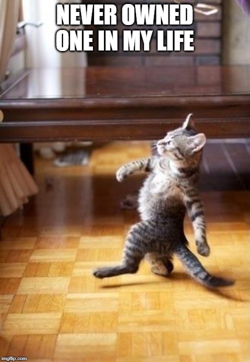 Cool Cat Stroll Meme | NEVER OWNED ONE IN MY LIFE | image tagged in memes,cool cat stroll | made w/ Imgflip meme maker