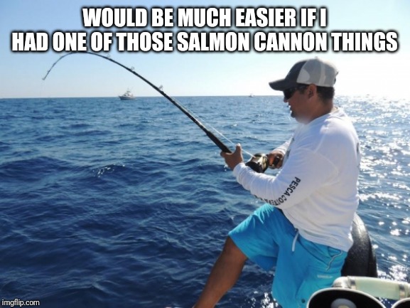 fishing  | WOULD BE MUCH EASIER IF I HAD ONE OF THOSE SALMON CANNON THINGS | image tagged in fishing | made w/ Imgflip meme maker