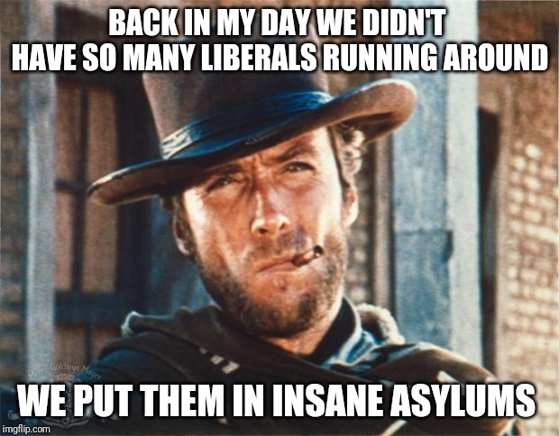 Clint Eastwood | BACK IN MY DAY WE DIDN'T  HAVE SO MANY LIBERALS RUNNING AROUND; WE PUT THEM IN INSANE ASYLUMS | image tagged in clint eastwood | made w/ Imgflip meme maker