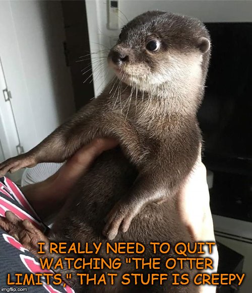Scared Otter his Mind | I REALLY NEED TO QUIT WATCHING "THE OTTER LIMITS," THAT STUFF IS CREEPY | image tagged in memes,funny,otter | made w/ Imgflip meme maker