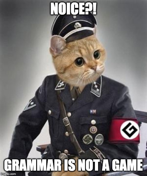 Grammar Nazi Cat | NOICE?! GRAMMAR IS NOT A GAME | image tagged in grammar nazi cat | made w/ Imgflip meme maker