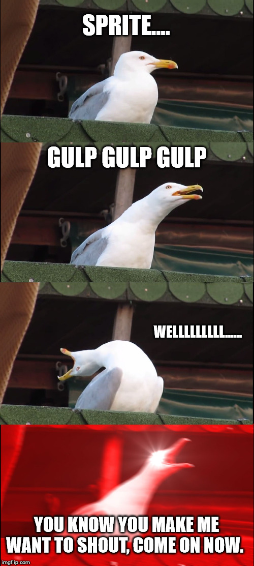 Inhaling Seagull | SPRITE.... GULP GULP GULP; WELLLLLLLLL...... YOU KNOW YOU MAKE ME WANT TO SHOUT, COME ON NOW. | image tagged in memes,inhaling seagull | made w/ Imgflip meme maker