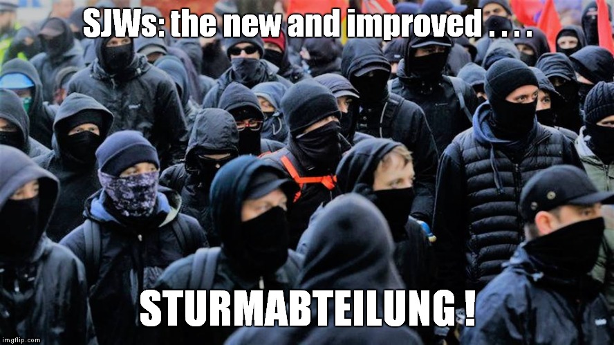 What was old is new again! | SJWs: the new and improved . . . . STURMABTEILUNG ! | image tagged in sjws,thugs | made w/ Imgflip meme maker