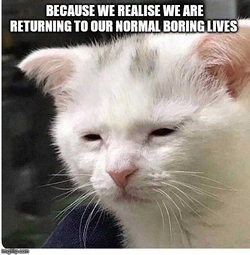 BECAUSE WE REALISE WE ARE RETURNING TO OUR NORMAL BORING LIVES | made w/ Imgflip meme maker