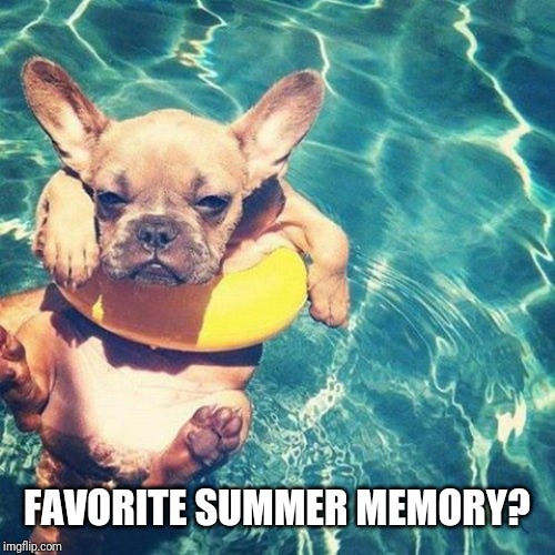 Summer is here dog pug | FAVORITE SUMMER MEMORY? | image tagged in summer is here dog pug | made w/ Imgflip meme maker