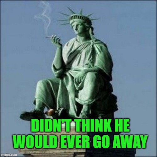 Statue of Liberty | DIDN'T THINK HE WOULD EVER GO AWAY | image tagged in statue of liberty | made w/ Imgflip meme maker