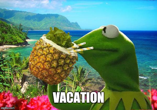 vacation kermit | VACATION | image tagged in vacation kermit | made w/ Imgflip meme maker