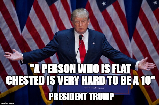 Trump Love Women | "A PERSON WHO IS FLAT CHESTED IS VERY HARD TO BE A 10"; PRESIDENT TRUMP | image tagged in donald trump,politics,women,funny,sad | made w/ Imgflip meme maker