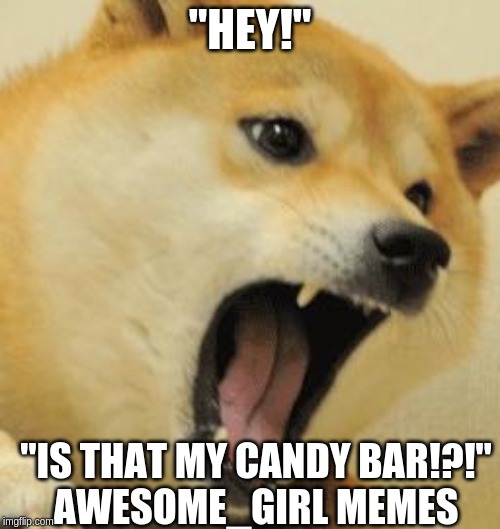 angry doge | "HEY!"; "IS THAT MY CANDY BAR!?!"
AWESOME_GIRL MEMES | image tagged in angry doge | made w/ Imgflip meme maker