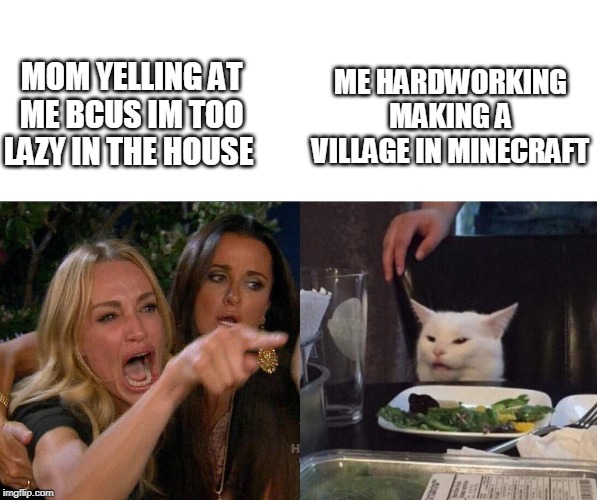 two woman yelling at a cat | ME HARDWORKING MAKING A VILLAGE IN MINECRAFT; MOM YELLING AT ME BCUS IM TOO LAZY IN THE HOUSE | image tagged in two woman yelling at a cat | made w/ Imgflip meme maker