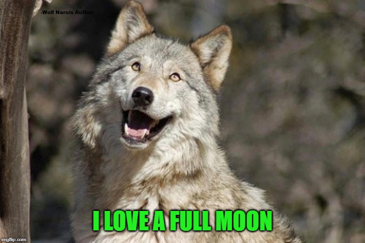 Optimistic Moon Moon Wolf Vanadium Wolf | I LOVE A FULL MOON | image tagged in optimistic moon moon wolf vanadium wolf | made w/ Imgflip meme maker