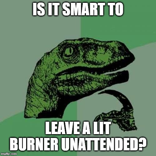 Philosoraptor | IS IT SMART TO; LEAVE A LIT BURNER UNATTENDED? | image tagged in memes,philosoraptor | made w/ Imgflip meme maker