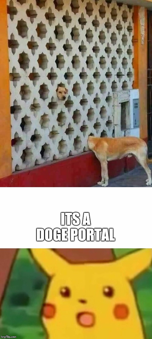 PORTAL | ITS A DOGE PORTAL | image tagged in memes,surprised pikachu,doge,dogs | made w/ Imgflip meme maker