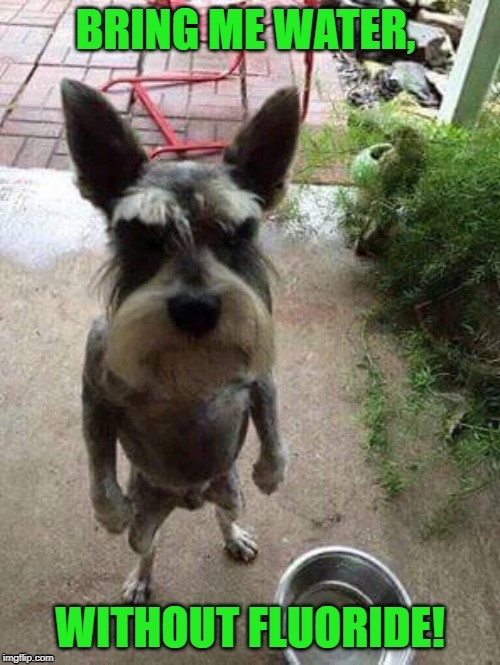 LOUD_VOICE | image tagged in loud_voice | made w/ Imgflip meme maker