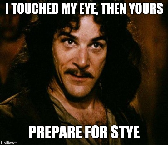 Inigo Montoya | I TOUCHED MY EYE, THEN YOURS; PREPARE FOR STYE | image tagged in memes,inigo montoya | made w/ Imgflip meme maker