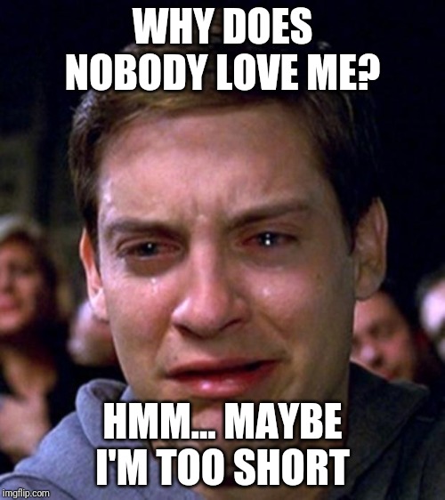 crying peter parker | WHY DOES NOBODY LOVE ME? HMM... MAYBE I'M TOO SHORT | image tagged in crying peter parker | made w/ Imgflip meme maker