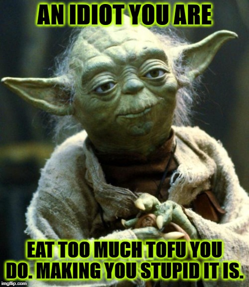 Star Wars Yoda | AN IDIOT YOU ARE; EAT TOO MUCH TOFU YOU DO. MAKING YOU STUPID IT IS. | image tagged in memes,star wars yoda | made w/ Imgflip meme maker
