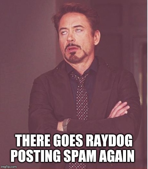 Face You Make Robert Downey Jr Meme | THERE GOES RAYDOG POSTING SPAM AGAIN | image tagged in memes,face you make robert downey jr | made w/ Imgflip meme maker