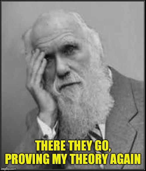 darwin facepalm | THERE THEY GO, PROVING MY THEORY AGAIN | image tagged in darwin facepalm | made w/ Imgflip meme maker