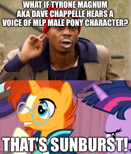 Tyrone magnum meets Sunburst | WHAT IF TYRONE MAGNUM AKA DAVE CHAPPELLE HEARS A VOICE OF MLP MALE PONY CHARACTER? THAT’S SUNBURST! | image tagged in dave chappelle,my little pony,mlp fim,twilight sparkle | made w/ Imgflip meme maker