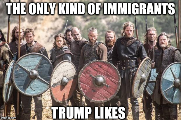 Vikings | THE ONLY KIND OF IMMIGRANTS; TRUMP LIKES | image tagged in vikings,nordic,aryan,white,supremacist,trump | made w/ Imgflip meme maker