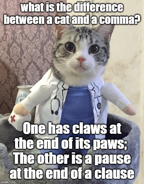 Difference between a cat and coma | what is the difference between a cat and a comma? One has claws at the end of its paws; 
The other is a pause at the end of a clause | image tagged in cat | made w/ Imgflip meme maker