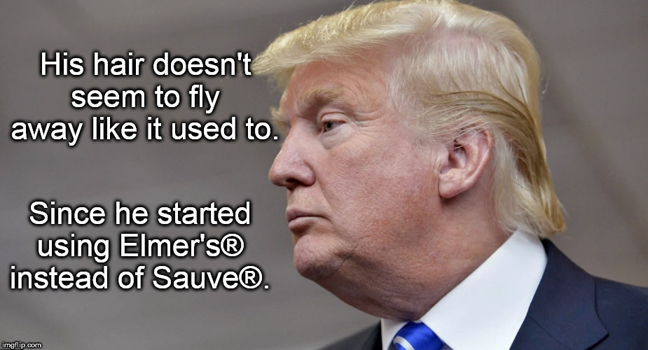 His hair doesn't seem to fly away like it used to. Since he started using Elmer's® instead of Sauve®. | image tagged in donald trump hair | made w/ Imgflip meme maker