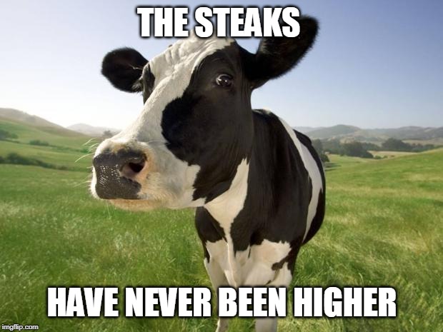 cow | THE STEAKS HAVE NEVER BEEN HIGHER | image tagged in cow | made w/ Imgflip meme maker