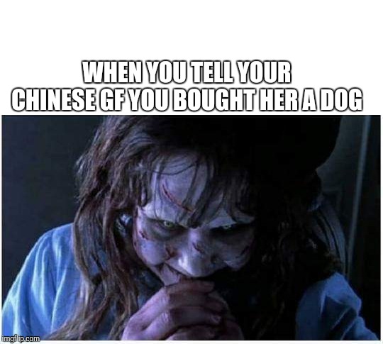WHEN YOU TELL YOUR CHINESE GF YOU BOUGHT HER A DOG | image tagged in girlfriend,chinese,dog,gift | made w/ Imgflip meme maker