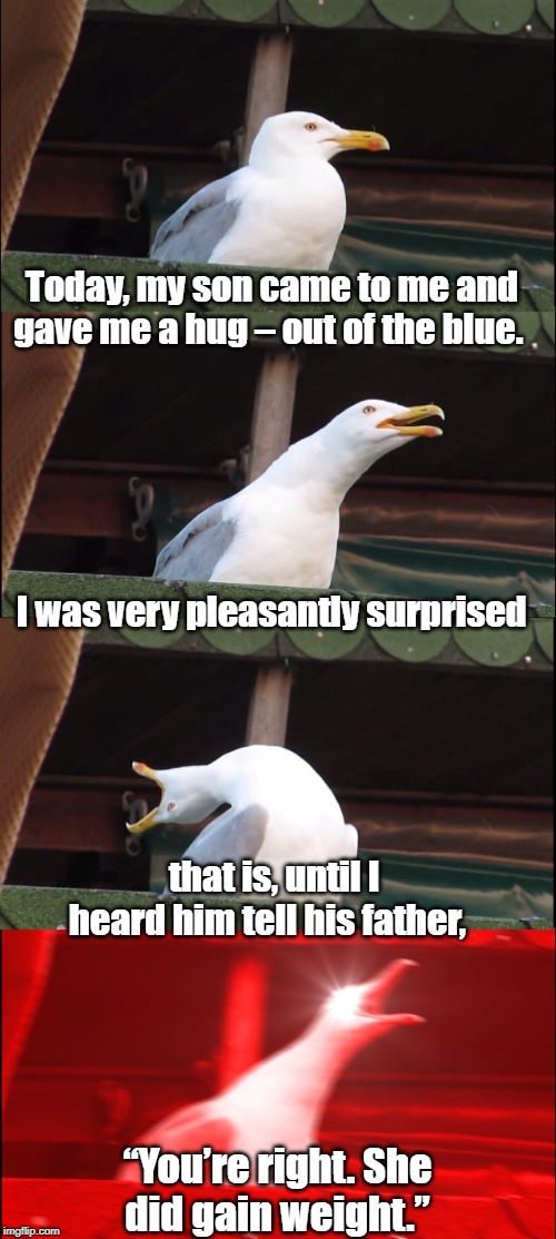 Inhaling Seagull Meme | Today, my son came to me and gave me a hug – out of the blue. I was very pleasantly surprised; that is, until I heard him tell his father, “You’re right. She did gain weight.” | image tagged in memes,inhaling seagull | made w/ Imgflip meme maker