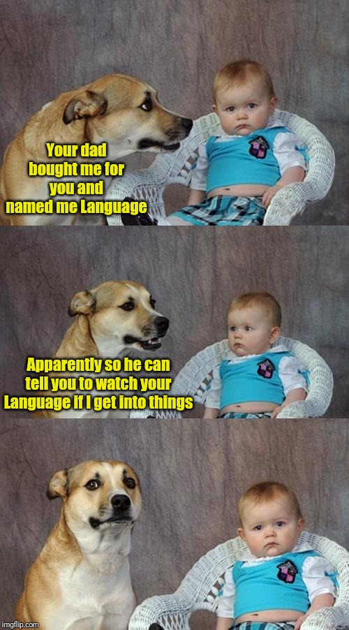 Dad Joke Dog Meme | Your dad bought me for you and named me Language; Apparently so he can tell you to watch your Language if I get into things | image tagged in memes,dad joke dog | made w/ Imgflip meme maker