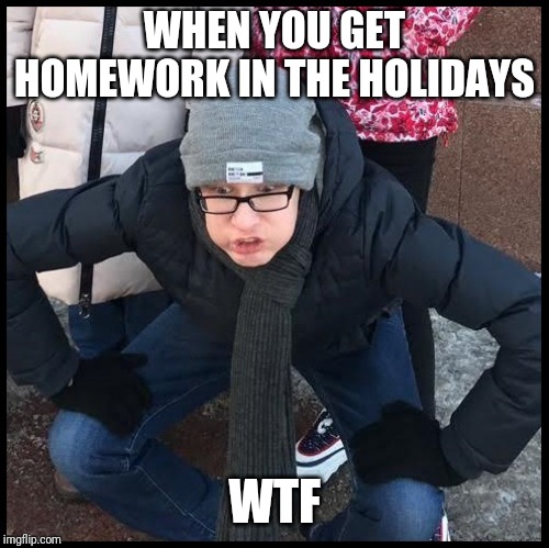 OH WTF | WHEN YOU GET HOMEWORK IN THE HOLIDAYS; WTF | image tagged in oh wtf | made w/ Imgflip meme maker
